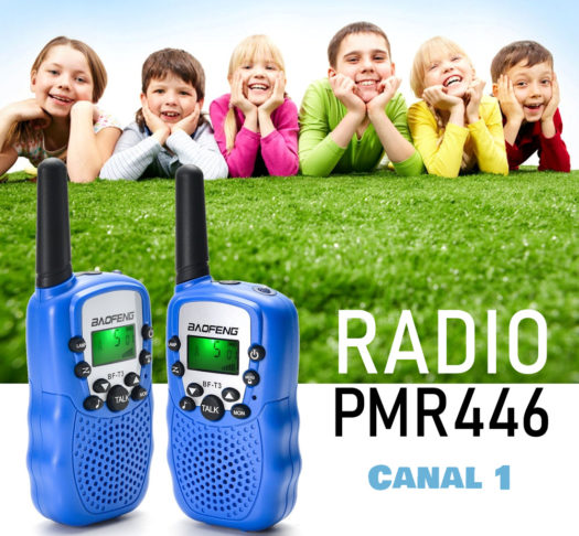 Radio PMR446, Canal 1